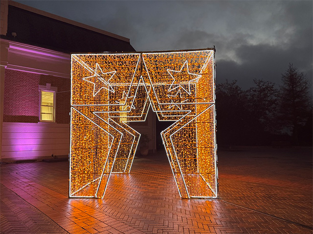 神戸イルミナージュ:フォトスポットのイルミネーション/道の駅 神戸フルーツ・フラワーパーク大沢(兵庫県/神戸市)