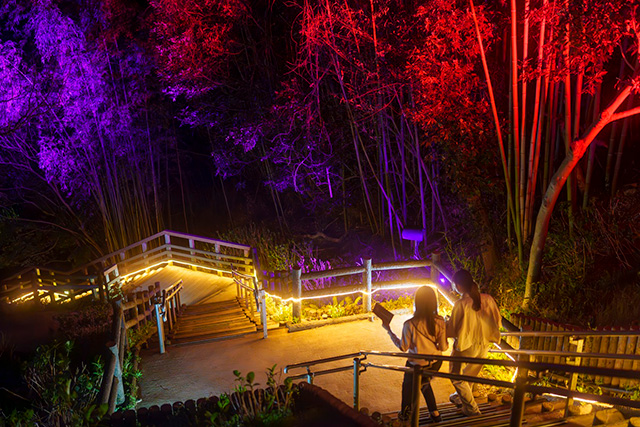 「ナイトウォーク無限城への軌跡」/ニジゲンノモリ（兵庫県/淡路市）