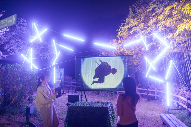 「ナイトウォーク無限城への軌跡」/ニジゲンノモリ（兵庫県/淡路市）