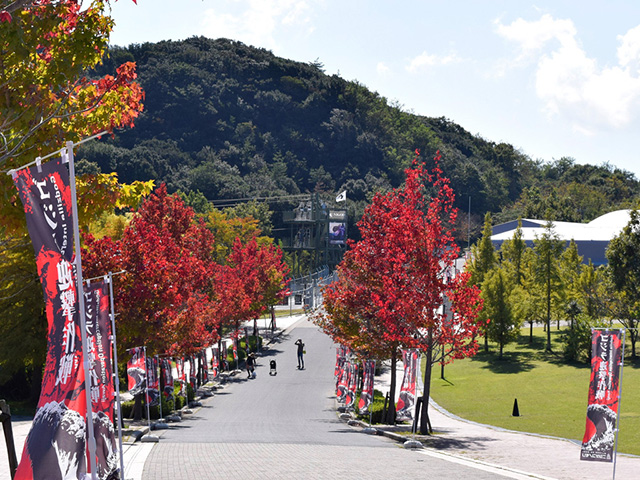 駐車場から並木道や芝生広場を通って「ゴジラ迎撃作戦」へ