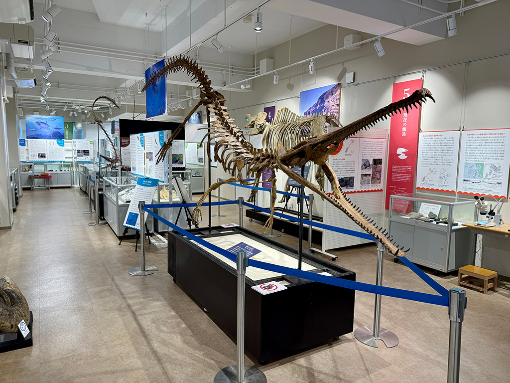 2階の展示室/甑󠄀ミュージアム(鹿児島県/薩摩川内市)