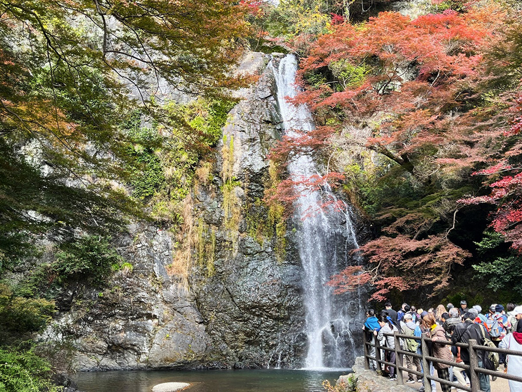 子連れに人気！箕面大滝ハイキングの楽しみ方は？紅葉の時期が特におすすめ