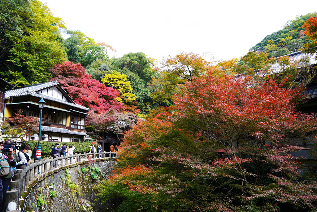 箕面川に沿って続く舗装道路「滝道」/箕面公園(大阪府/箕面市)