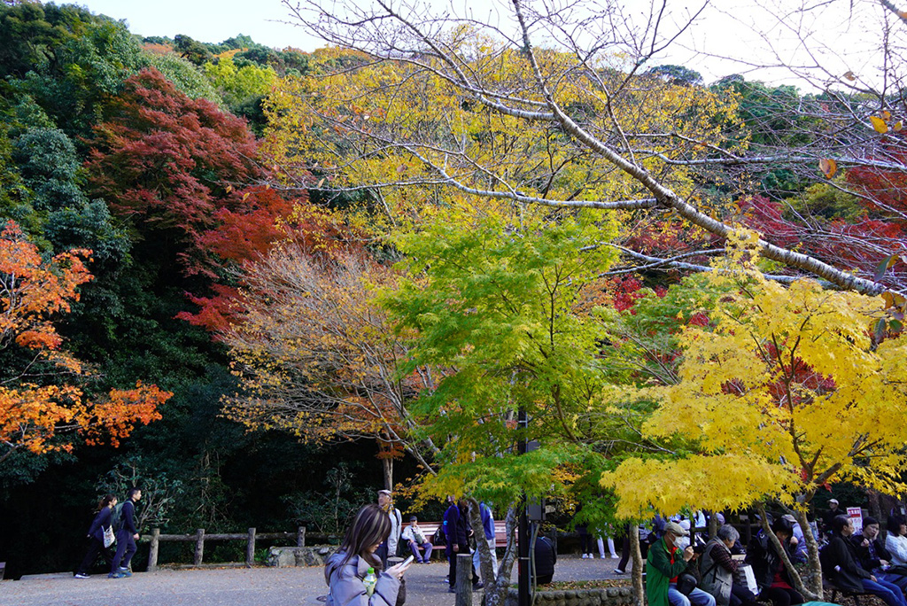 親子連れには川沿いルートがおすすめ/箕面公園(大阪府/箕面市)