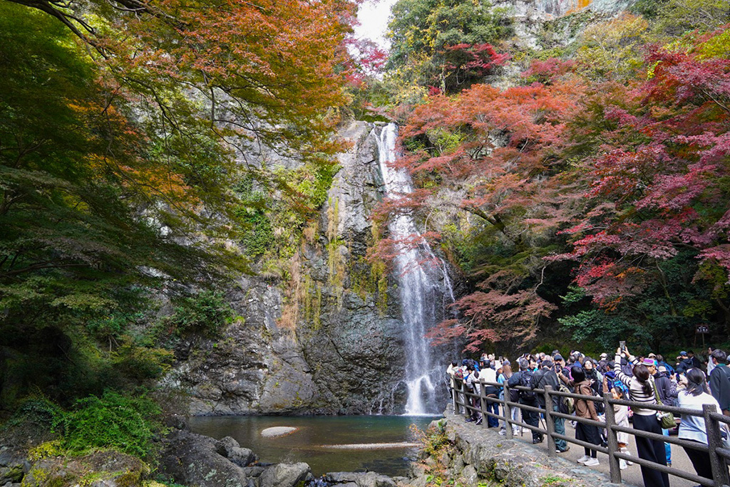 箕面大滝/箕面公園(大阪府/箕面市)