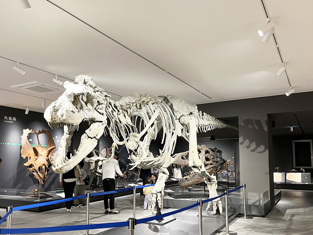 タルボサウルス全身骨格標本/たんば恐竜博物館（兵庫県/丹波市）