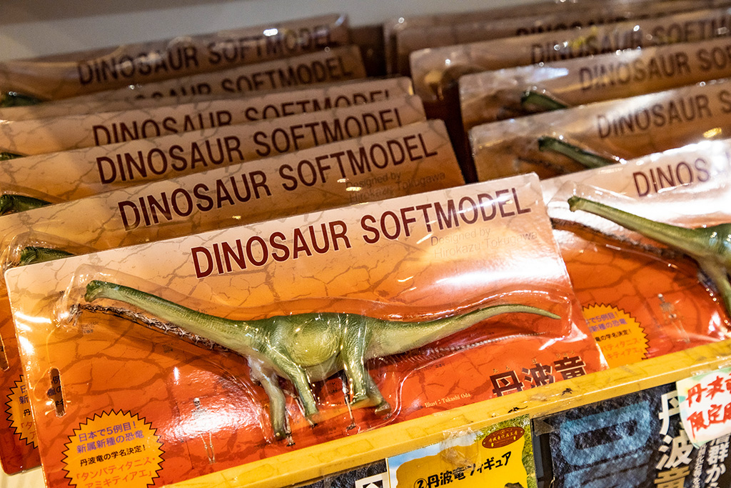 ミュージアムショップ/たんば恐竜博物館（兵庫県/丹波市）