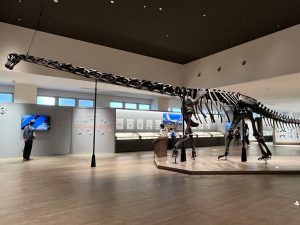 たんば恐竜博物館の所要時間や子どもの楽しみ方は？恐竜の化石に触れるなど体験が充実