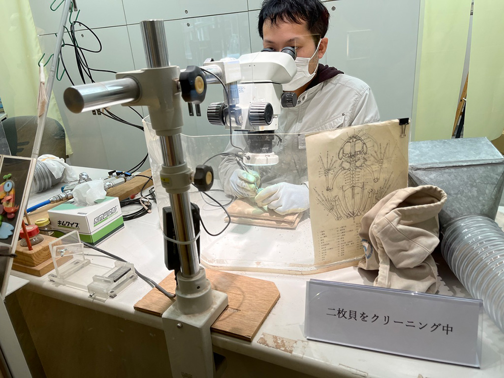 化石クリーニングの様子/たんば恐竜博物館（兵庫県/丹波市）