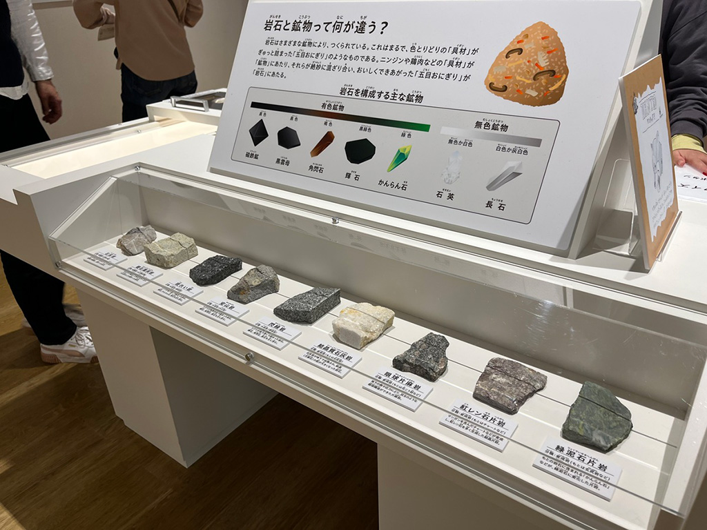 岩石に触れられる展示/たんば恐竜博物館（兵庫県/丹波市）