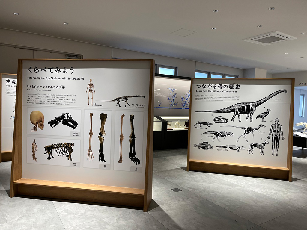 「生命の進化」をテーマにした展示/たんば恐竜博物館（兵庫県/丹波市）
