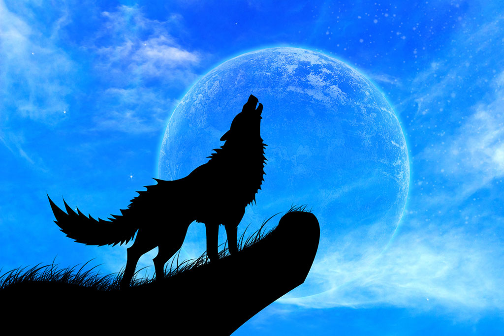 2026年最初の満月「ウルフムーン」はいつ？見られる時間や名前の意味、観測ポイントをわかりやすく解説！