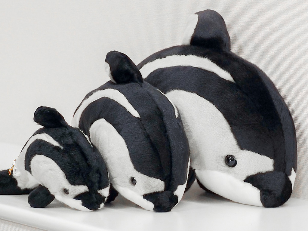 「カマイルカぬいぐるみ」/城崎マリンワールド(兵庫県/豊岡市)