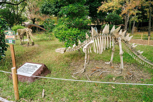 絶滅して化石になった恐竜たち/メガ恐竜パーク鶴見緑地（大阪府/大阪市）
