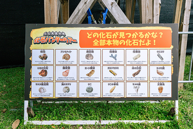「化石ハンターツアー/メガ恐竜パーク鶴見緑地（大阪府/大阪市）