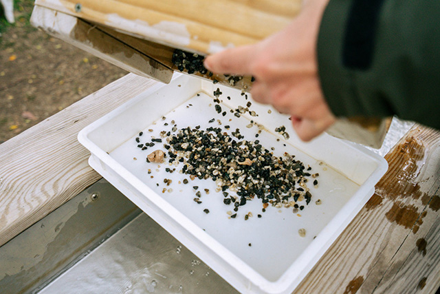 「化石ハンターツアー」の様子/メガ恐竜パーク鶴見緑地（大阪府/大阪市）