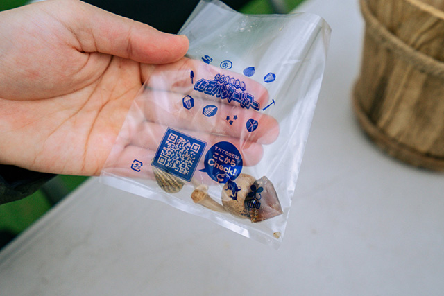 「化石ハンターツアー」の見つかった化石/メガ恐竜パーク鶴見緑地（大阪府/大阪市）