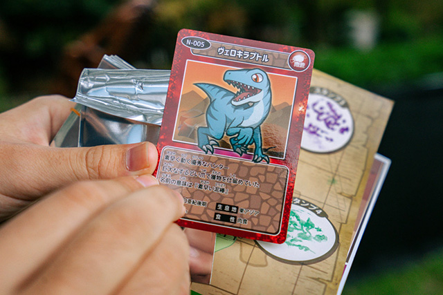トレーディングカード/メガ恐竜パーク鶴見緑地（大阪府/大阪市）
