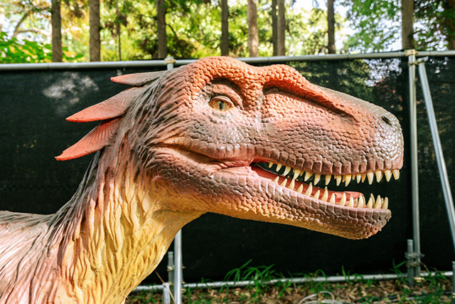 /メガ恐竜パーク鶴見緑地（大阪府/大阪市）