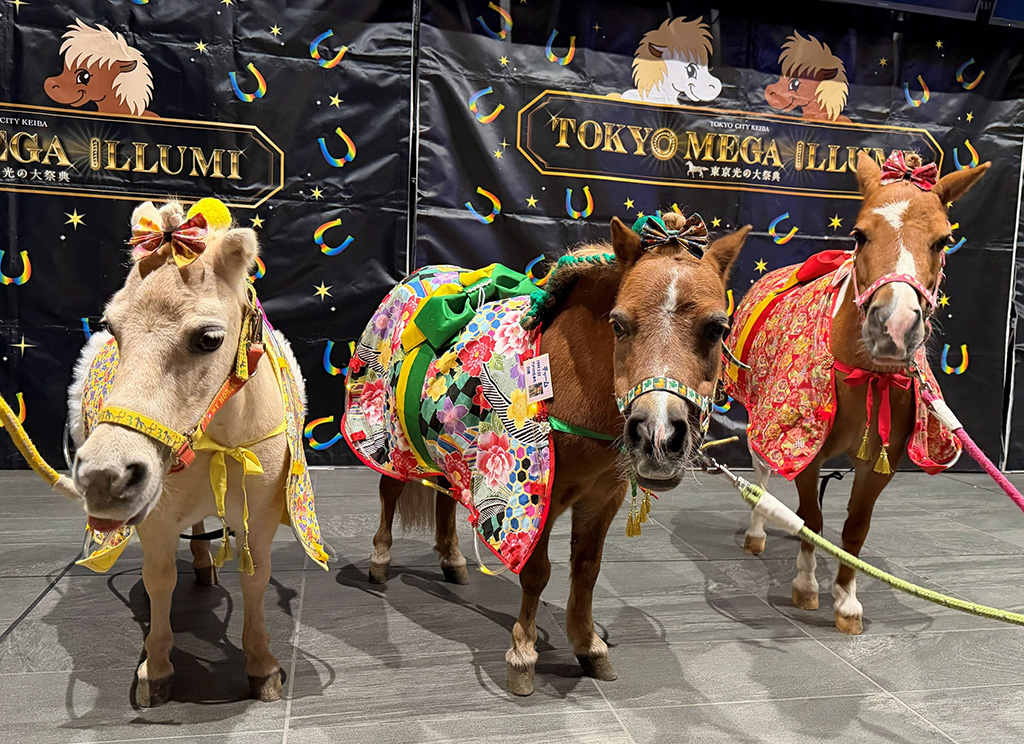 東京メガイルミ2025-2026「午年MEGA新春イベント」（東京都/品川区）