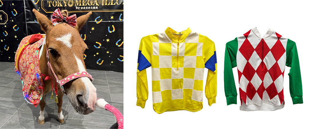 ミニチュアホース&ポニーとふれあい体験/東京メガイルミ2025-2026「午年MEGA新春イベント」(東京都/品川区)