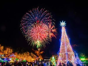 全国クリスマスツリー95選！巨大モミの木、豪華イルミネーション、ユニークな演出など