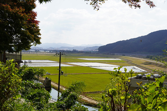 コウノトリの棲む里（兵庫県/豊岡市）