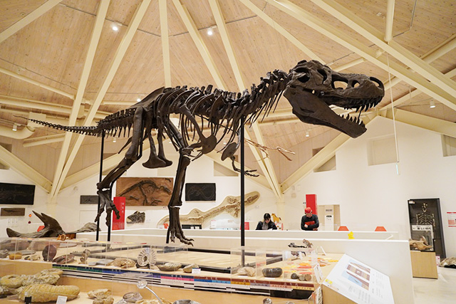 子どものティラノサウルスの全身骨格化石/玄武洞ミュージアム（兵庫県/豊岡市）