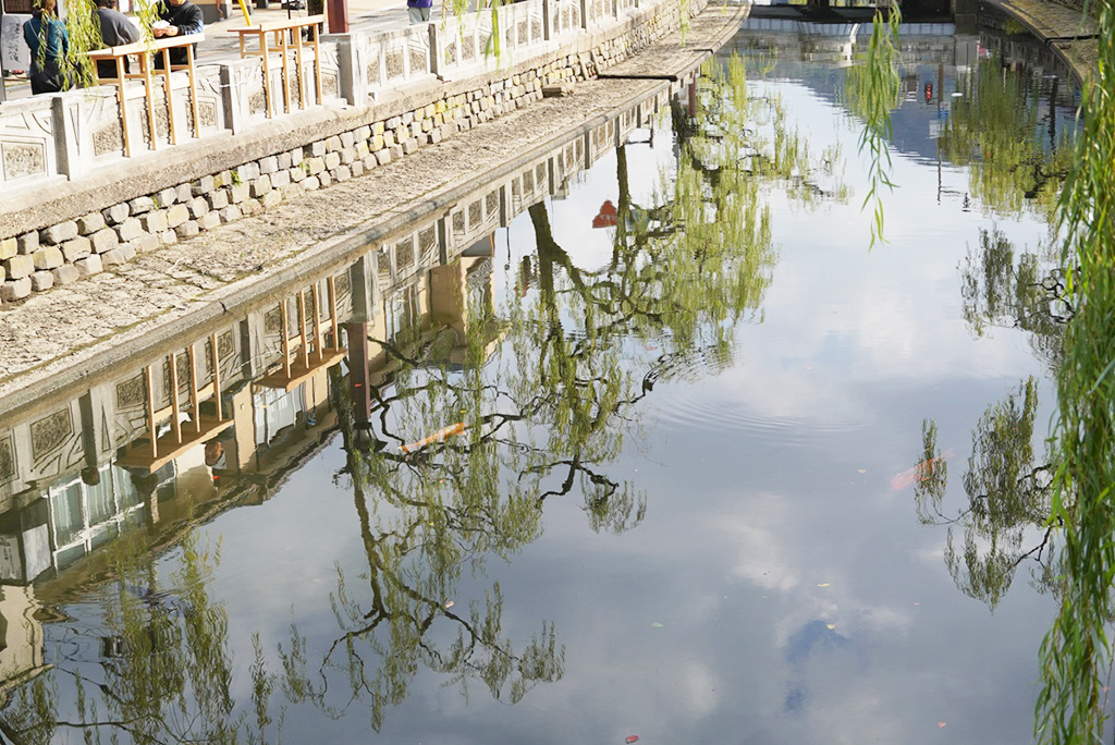 温泉街を流れる大谿川/城崎温泉（兵庫県/豊岡市）