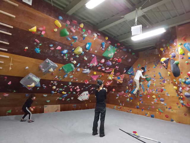 壁一面にさまざまな形のホールドが設置されている/クライミングジム　ノボリコ（奈良県／奈良市）