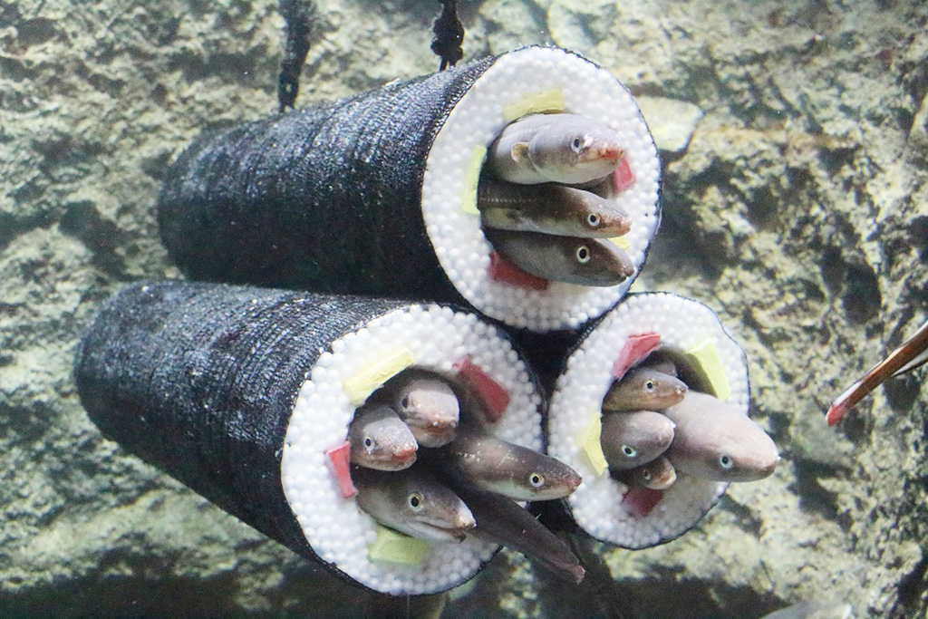 うみの杜節分（宮城県/仙台市）