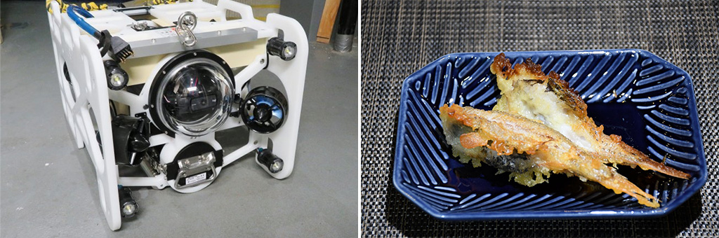 ゾクゾク深海生物2026 これまでの歩み（東京都/豊島区）