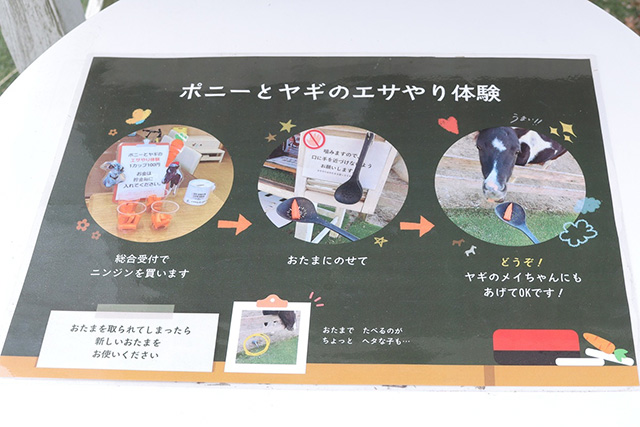 ポニーとヤギのエサやり体験の案内/BIG-BREATH(滋賀県/米原市)