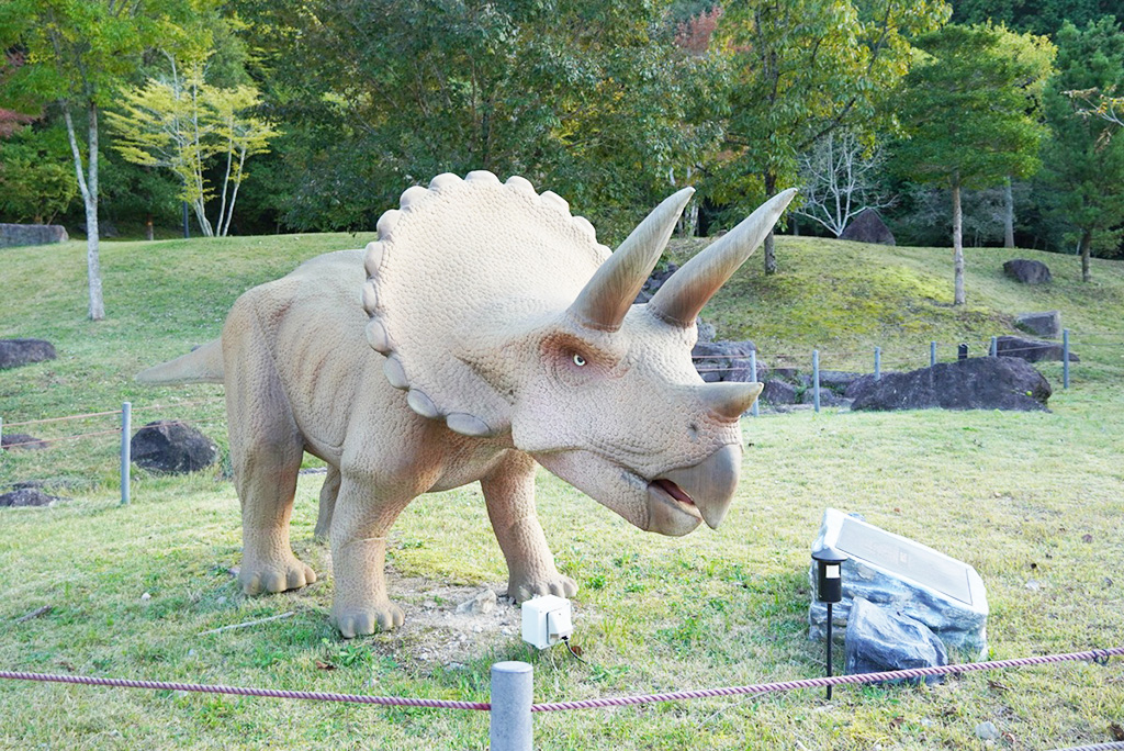 トリケラトプス/兵庫県立丹波並木道中央公園 （兵庫県/丹波篠山市）