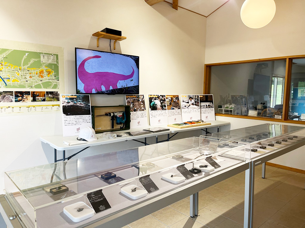 実物の化石の展示/丹波篠山市立太古の生きもの館（兵庫県/丹波篠山市）