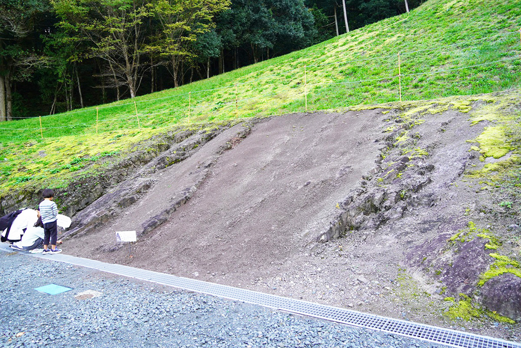 施設前の斜面にある本物の地層/丹波篠山市立太古の生きもの館（兵庫県/丹波篠山市）