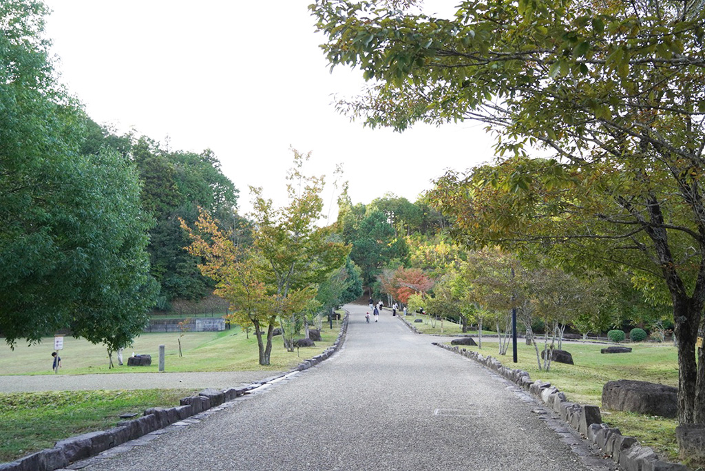 丹波並木道中央公園（兵庫県/丹波篠山市）