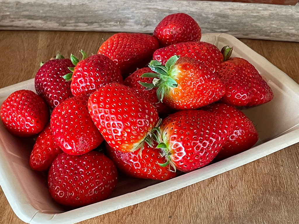 Yokohama Strawberry Festival/横浜赤レンガ倉庫（神奈川県/横浜市）