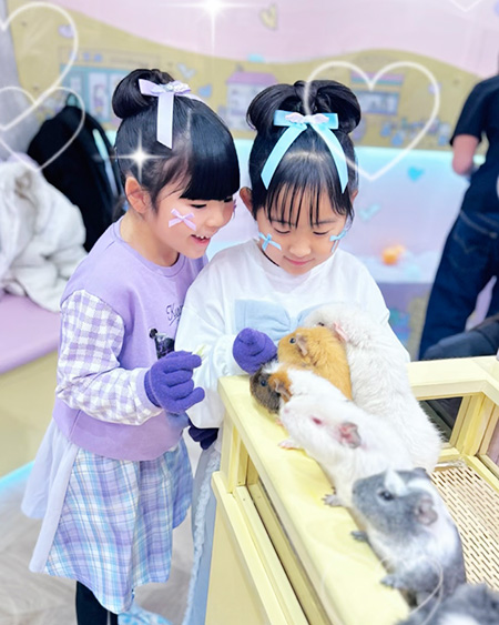 原宿かわいいランドキュンキュン(東京都/渋谷区)