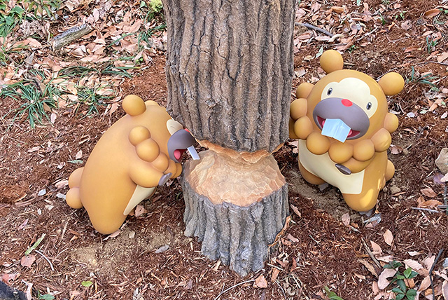 木をかじっているビッパたち/ポケパーク カントー(東京都/稲城市)