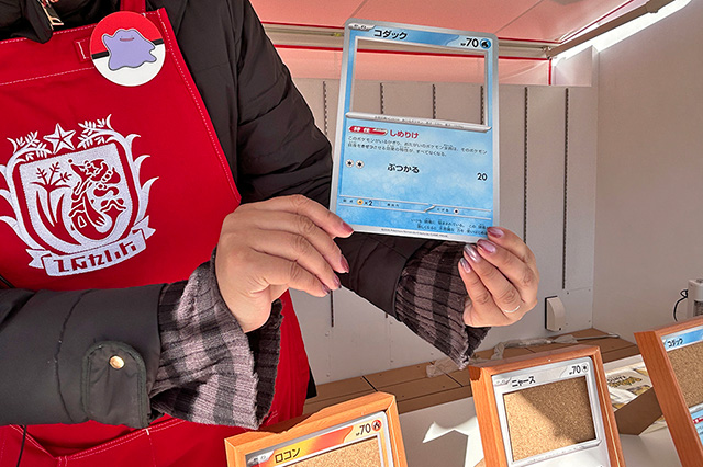 イラスト部分が空いたポケモンカード/ポケパーク カントー(東京都/稲城市)