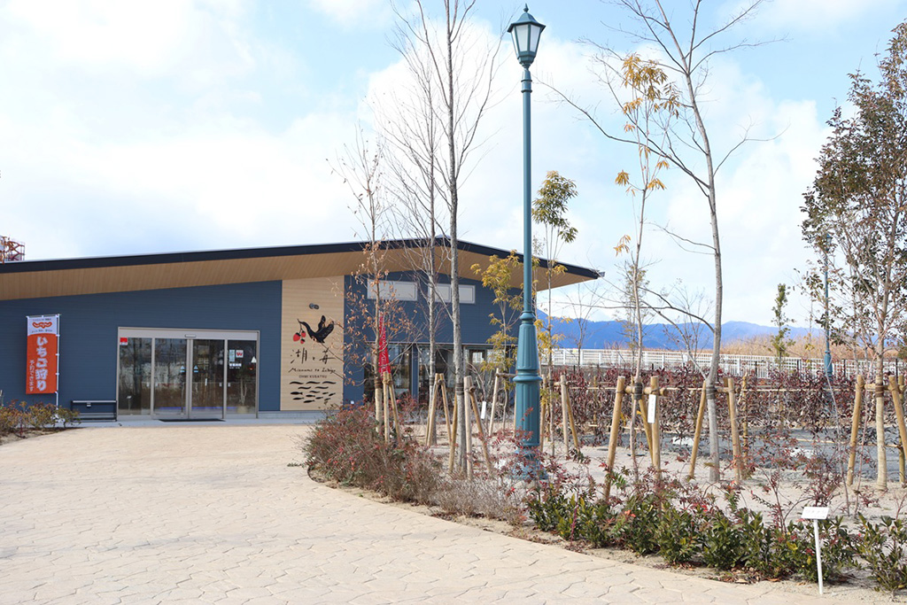 /湖と苺(滋賀県/草津市)