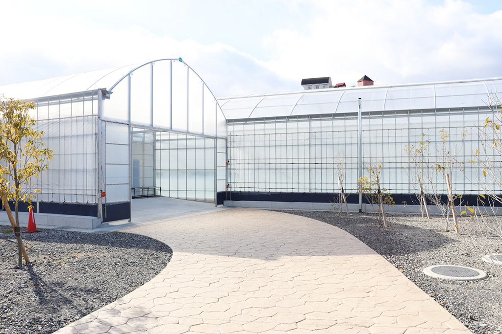 ベビーカーや車椅子も安心のアプローチ/湖と苺(滋賀県/草津市)