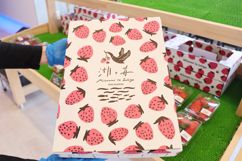 「ふぞろいいちご」4パック用BOX/湖と苺(滋賀県/草津市)