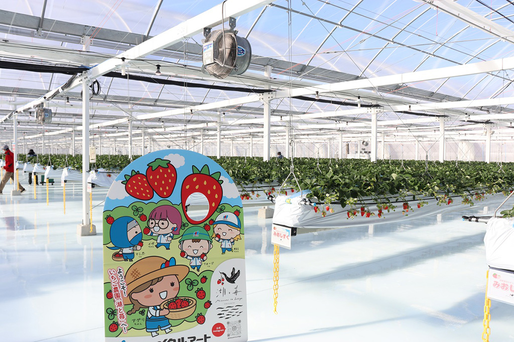 /湖と苺(滋賀県/草津市)