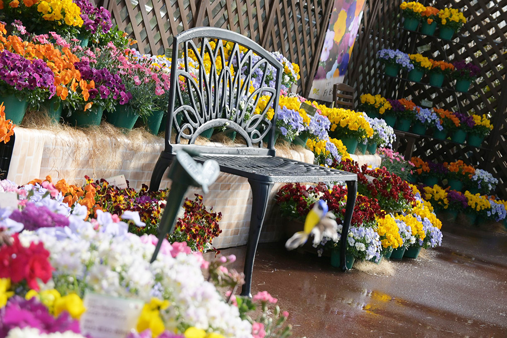 The First Bloom ―春を先どる1万の花―（京都府/京都市）