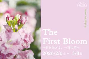 京都府立植物園で「The First Bloom ―春を先どる1万の花―」開催　春に咲く約1万本の花たちが一斉に咲き誇る