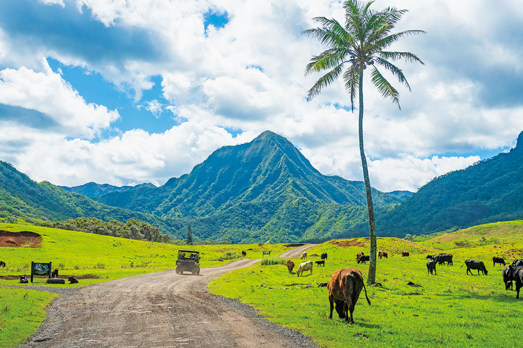 クアロア・ランチ