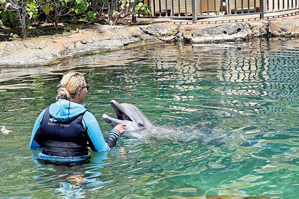 子ども向けのアクティビティ