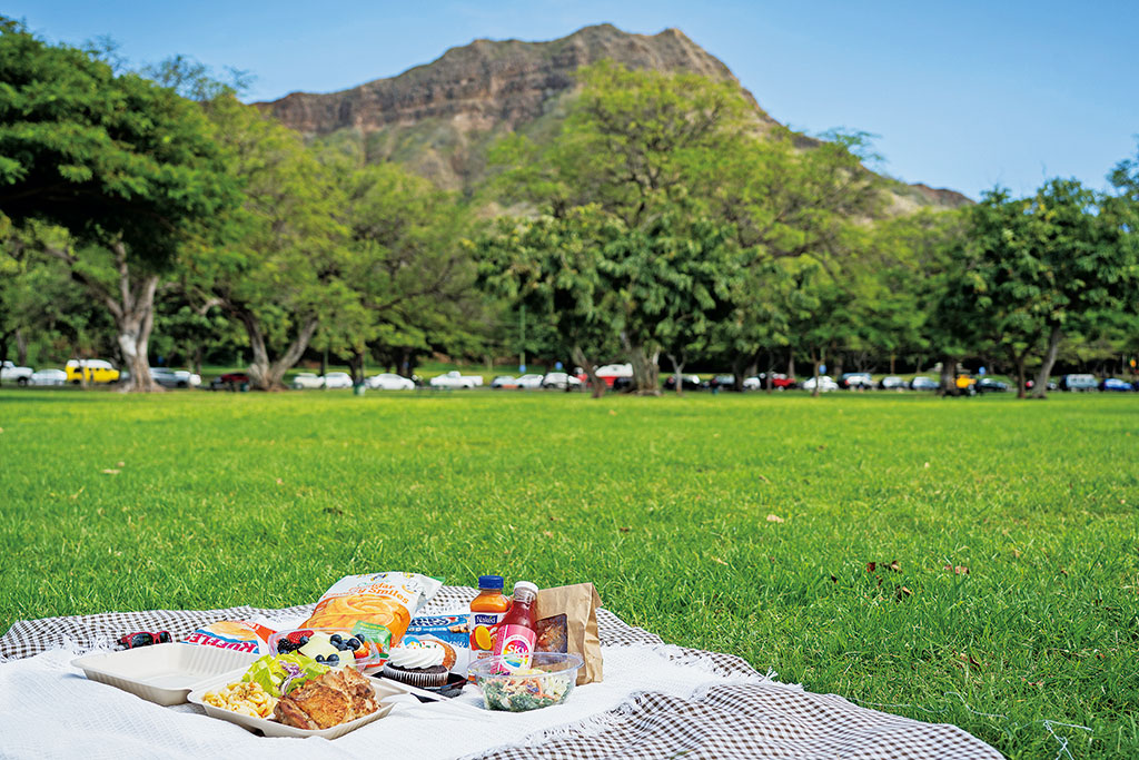 公園でピクニック